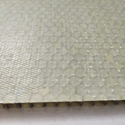 Leichtgewichts-Sandwich-Panel aus Honighals aus FRP 1000x2000mm